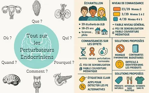 Perturbateurs endocriniens : invisibles, omniprésents, dangereux… et évitables !