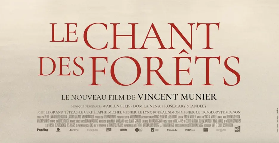 Découvrez le chant des forêts