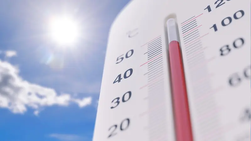Face aux catastrophes climatiques, où en est l’adaptation de nos territoires ?