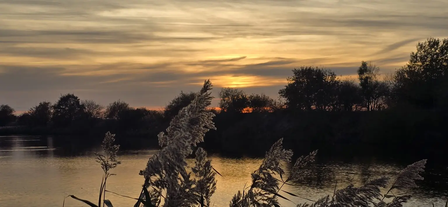 Entreprise et Biodiversité
