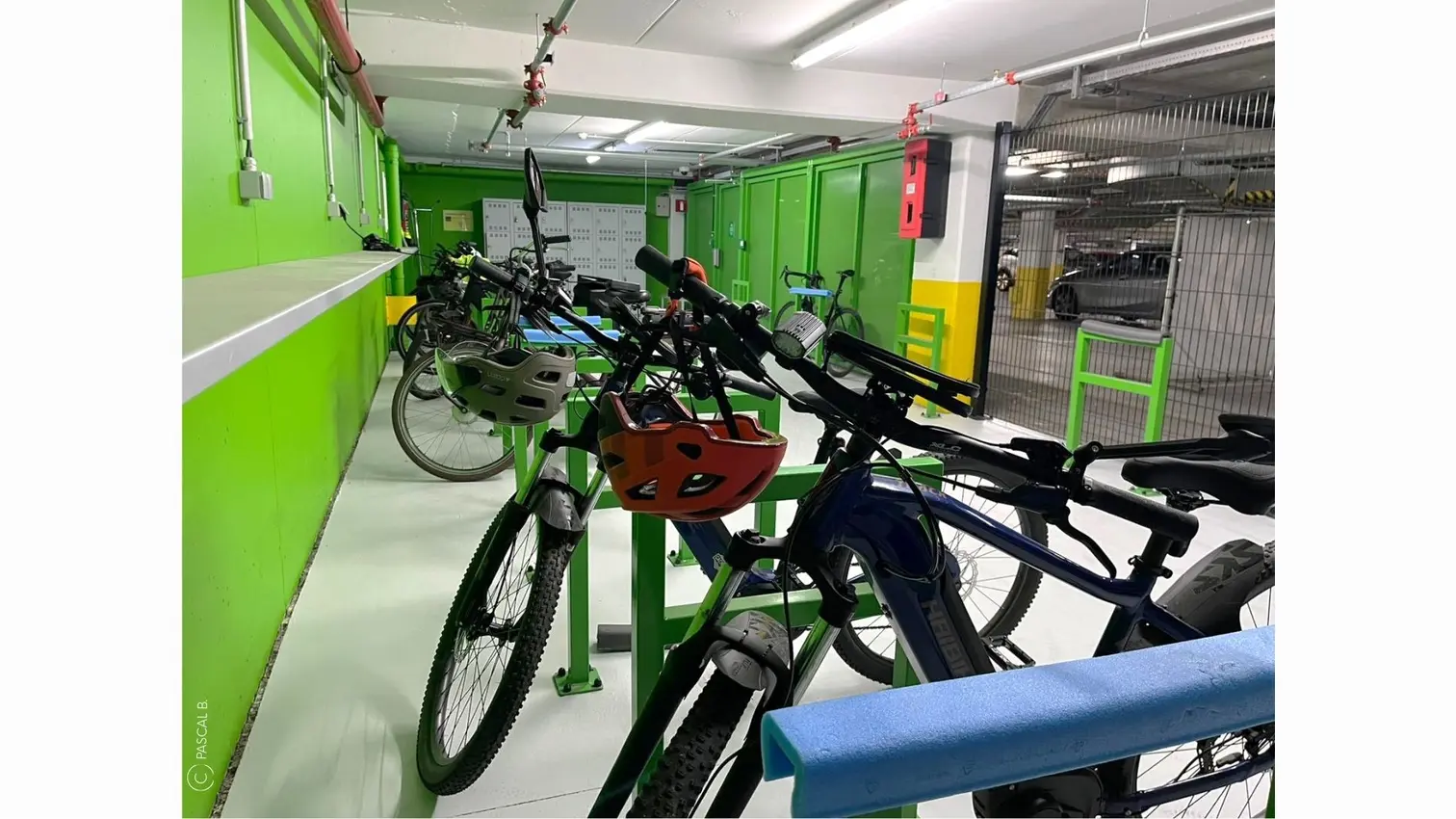 Électromobilité dans les entreprises
