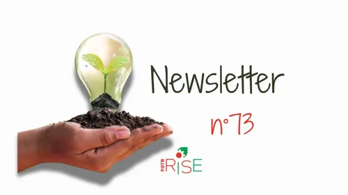 Newsletter n°73 : Environnement